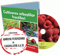 arbusti fructiferi