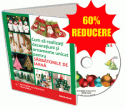 Decoratiuni si ornamente pentru Sarbatorile de iarna