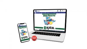 Ghid Practic Excel (acces online - fara taxa de transport)