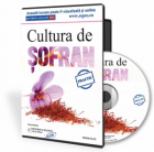 Afacerea anului: cultura de sofran.