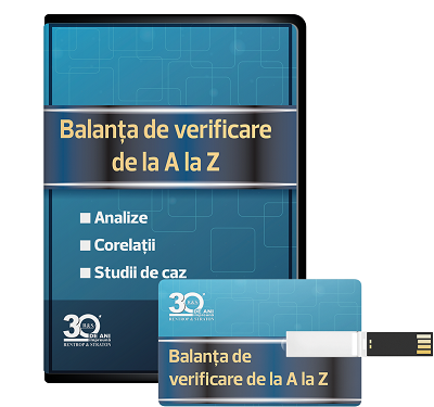 Lucrarea Balanta de verificare pe stick de memorie